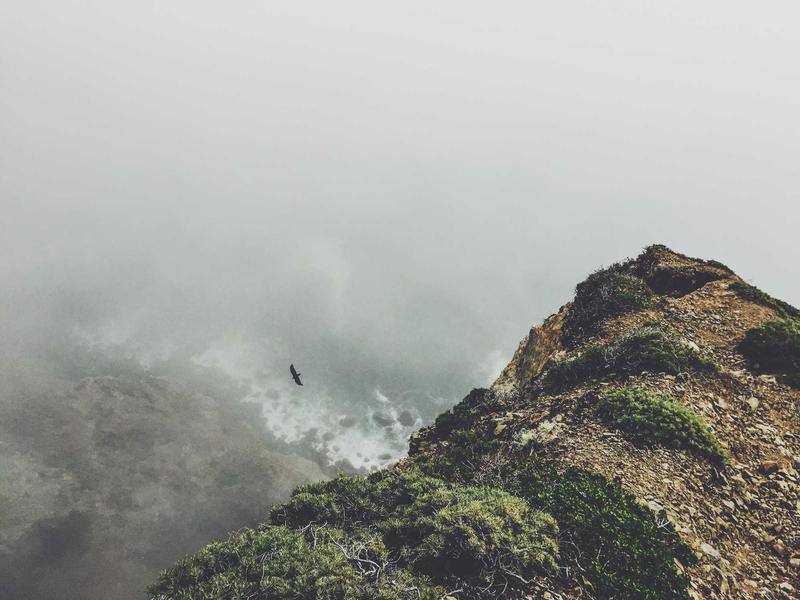 संस्था की गतिविधि